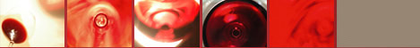 Pla i Llevant Mallorca. Bodegues. Vins Denominació Origen negres, rosats, blancs, espumosos